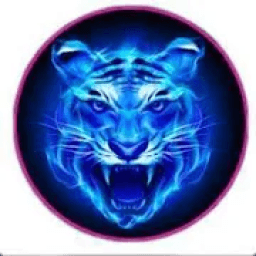 Royal VPN secure tunneling icon