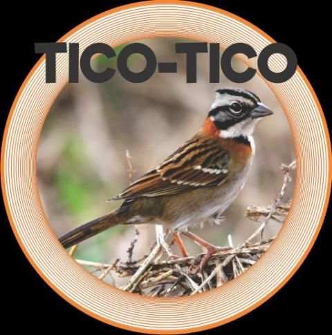 TICO - TICO screenshot 7