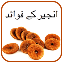 Anjeer K fawaid أيقونة