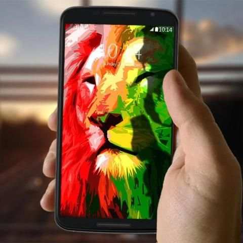 Rasta New Wallpaper скриншот 6