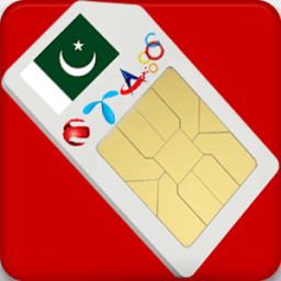 SIMS Details System आइकन