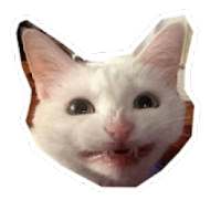Nuevos Stickers memes gatos WhatsApp-WAStickerApps