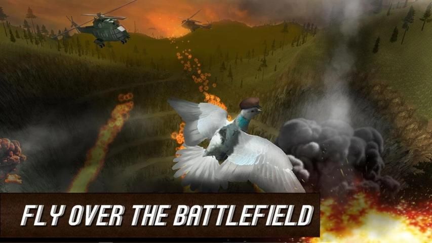 War Bird: Pigeon Simulator 3D screenshot 3