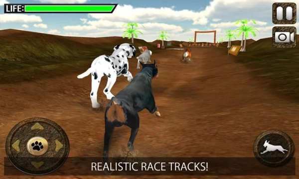 Greyhound Dog Racing 3D screenshot 18