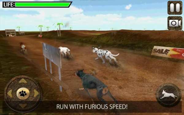 Greyhound Dog Racing 3D screenshot 10