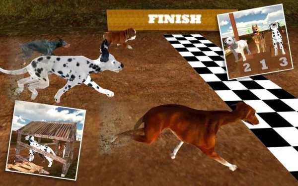 Greyhound Dog Racing 3D screenshot 11