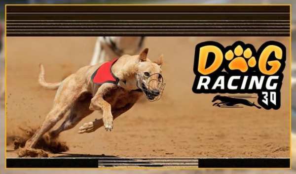 Greyhound Dog Racing 3D screenshot 2