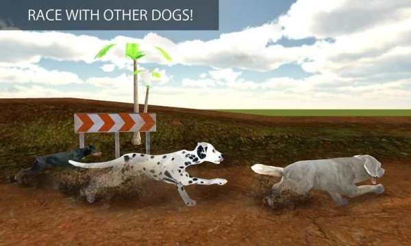 Greyhound Dog Racing 3D screenshot 15