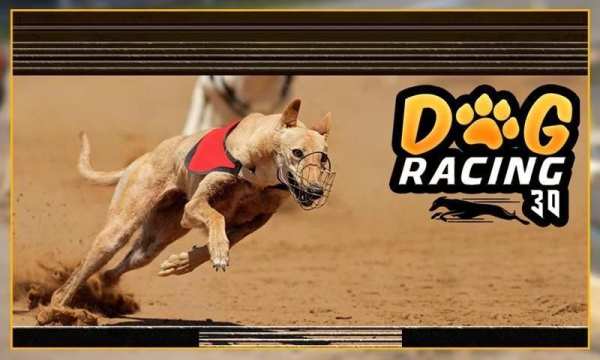 Greyhound Dog Racing 3D screenshot 14