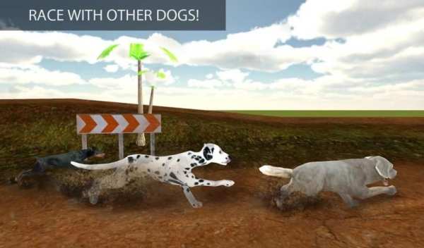 الكلب السلوقي سباق 3D 3 تصوير الشاشة