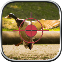 Duck Hunting icon