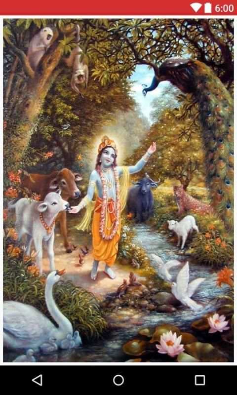 Krishna Bhajans 2 تصوير الشاشة