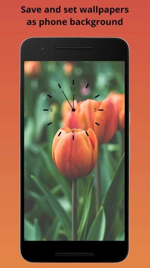 HD Phone Wallpapers screenshot 3