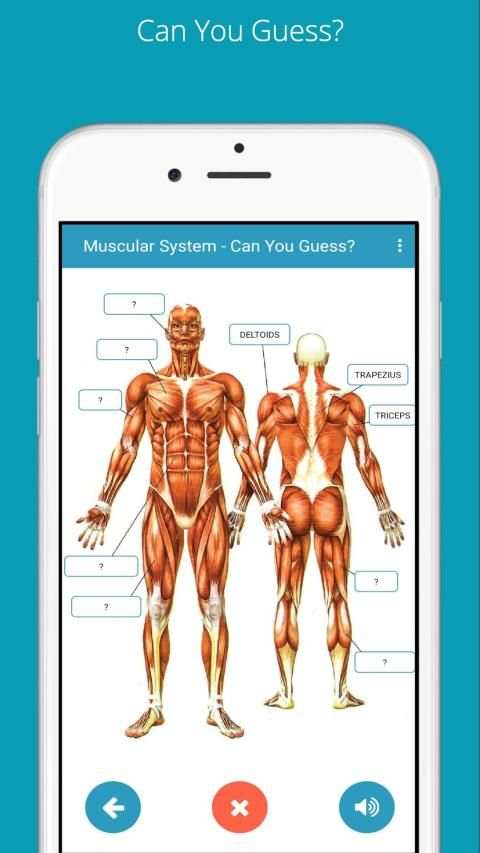 Learn Human Anatomy (Human Body) screenshot 7