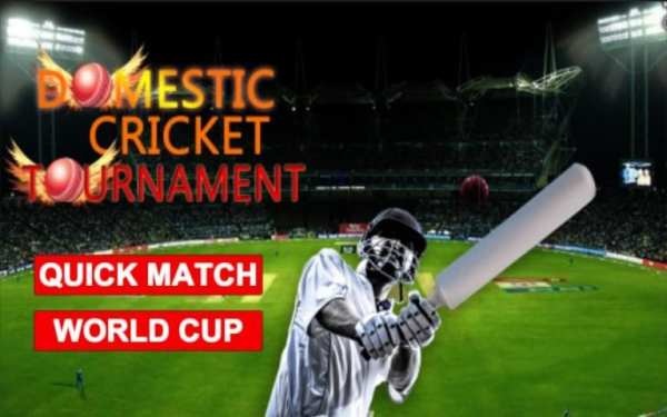 Domestic Cricket Tournament screenshot 7