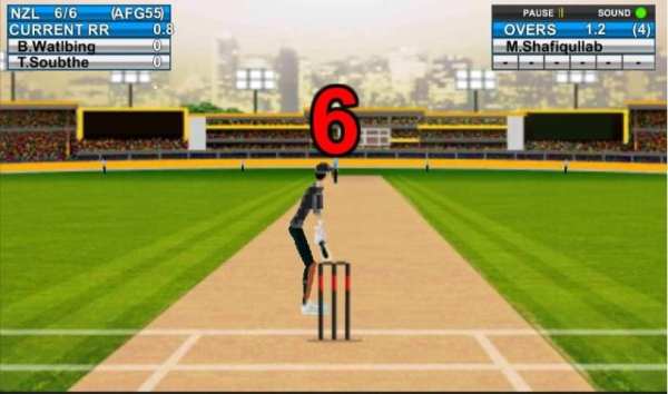 Domestic Cricket Tournament screenshot 2