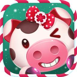Piggy Boom-Christmas