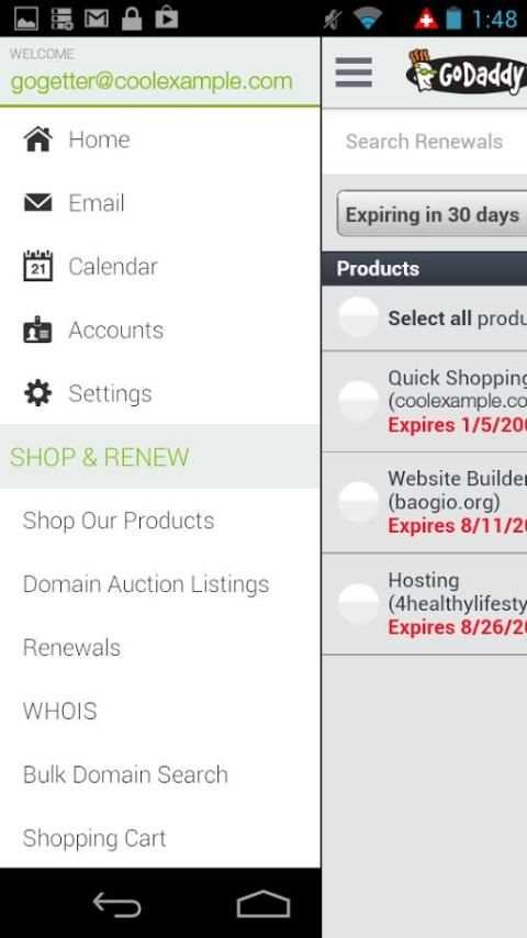GoDaddy.com мобильные домены скриншот 4