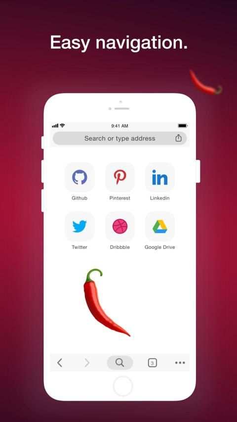 Access Browser screenshot 1