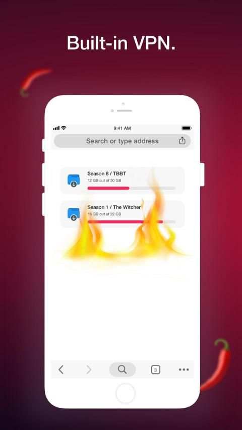 Access Browser screenshot 2