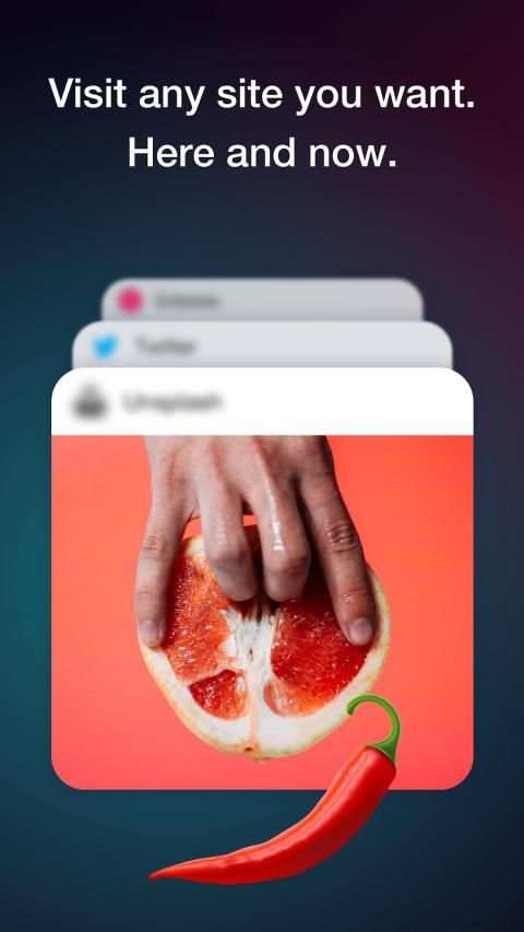 Access Browser screenshot 4
