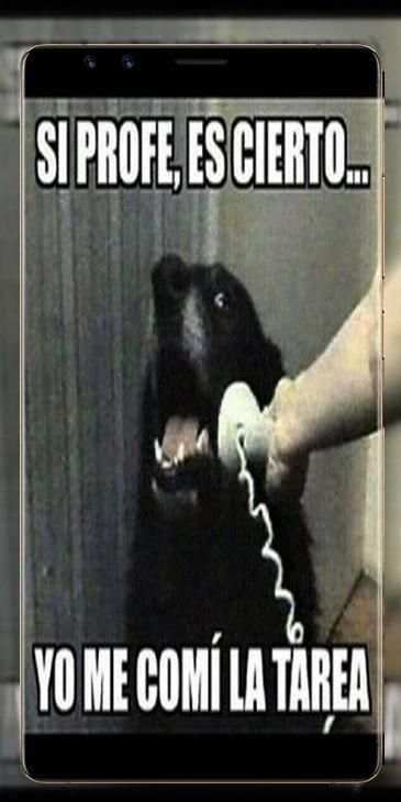 Imágenes de WhatsApp screenshot 9