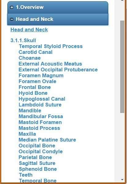 Skeletal System (Anatomy) 4 تصوير الشاشة