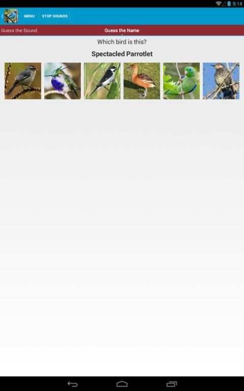 South American Birds скриншот 10