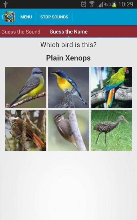 South American Birds скриншот 18