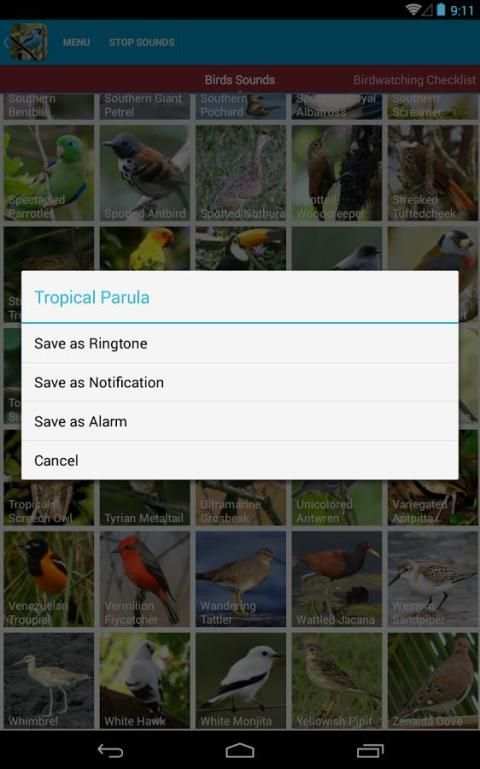 South American Birds скриншот 2