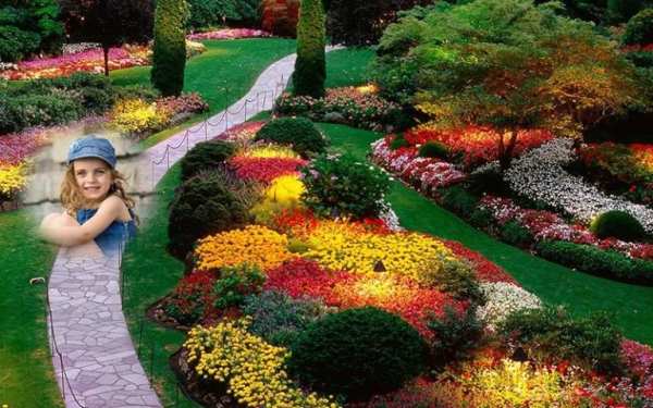 Memorable Flower Photo Frame скриншот 3