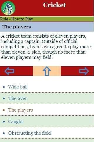 Rules to Play Cricket screenshot 1