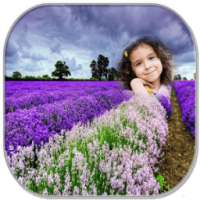 Memorable Flower Photo Frame on 9Apps