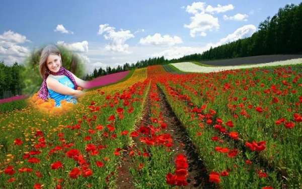 Memorable Flower Photo Frame скриншот 4