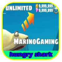 hack skins hungry shark