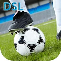 Dream Soccer League