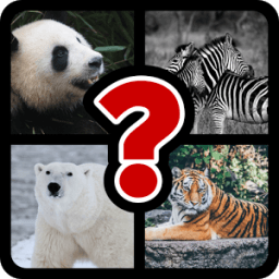 Adivina animales para niños أيقونة