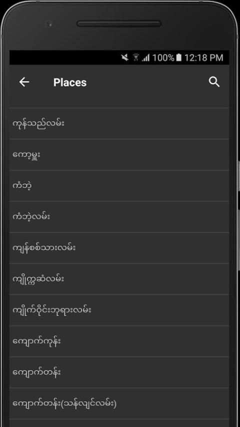 YGN Buses (Offline) screenshot 4