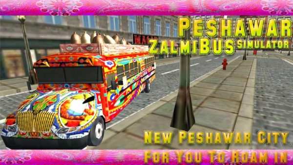 Peshawar Zalmi Bus Simulator screenshot 3