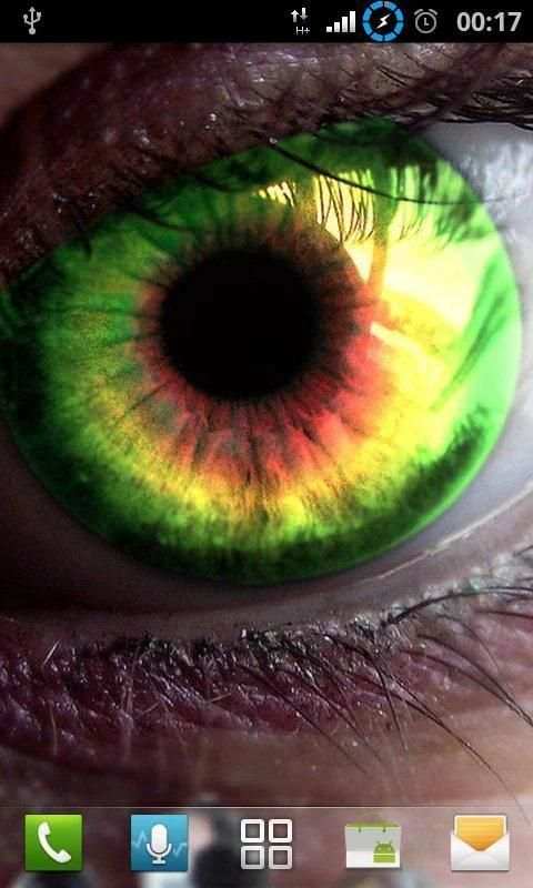 Rasta HD Wallpapers 7 تصوير الشاشة