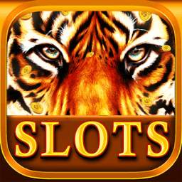 Tiger slots – Gold casino