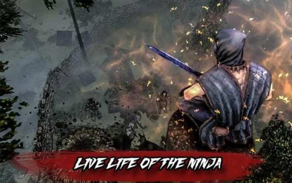 Ninja Assassin-Sword Fight 3D screenshot 5