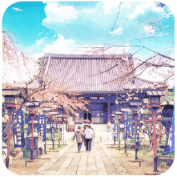 ikon Art photos for Everfilter