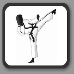 ikon karaté training