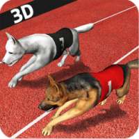 Dog Racing 3D