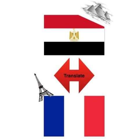 Arabic French Translator screenshot 3