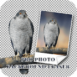 ikon Pro Photo Background Eraser