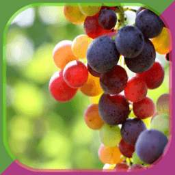 Grape Growing Secrets