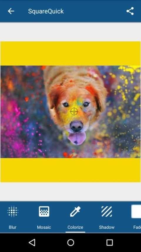Square Master - PicEditor screenshot 4