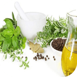 ঔষধি গাছের গুনাগুন/উপকারীতা иконка